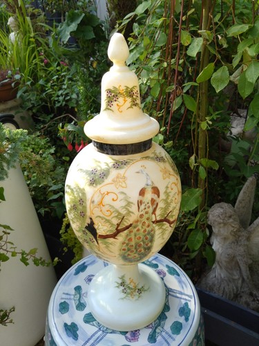 Victorian hand painted peacock - hand,