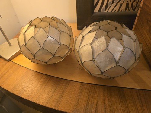 Oyster shell lamp - shell,