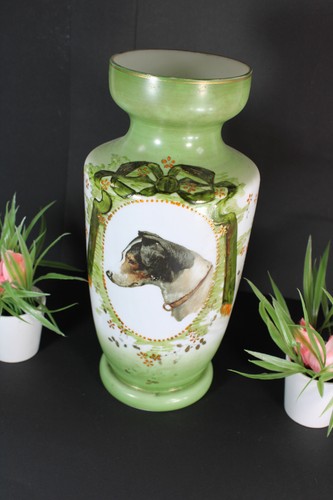 Opaline dog portrait - dog,