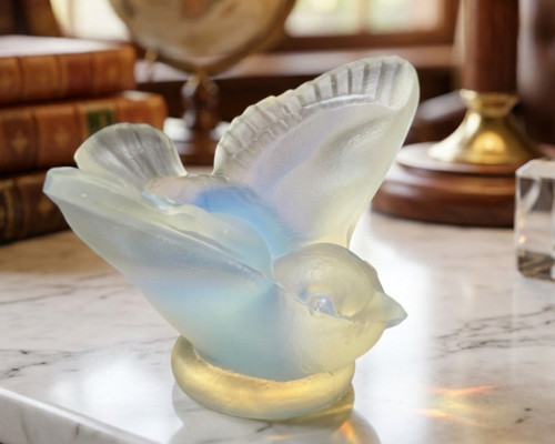 Sabino bird with - wings, spread